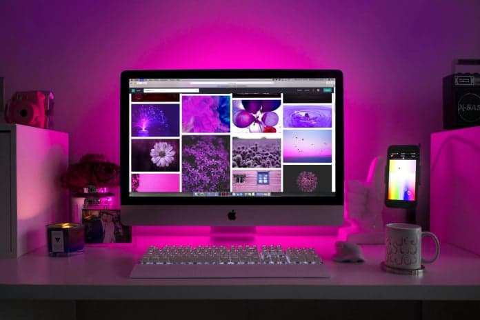 React Native/Reacts Js Developer